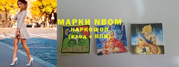 хмурый Алзамай
