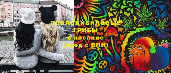 хмурый Алзамай