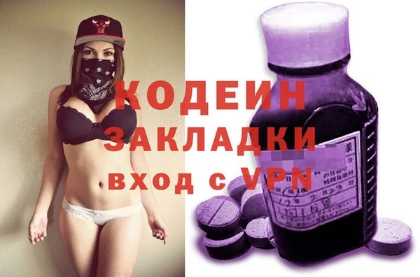 хмурый Алзамай